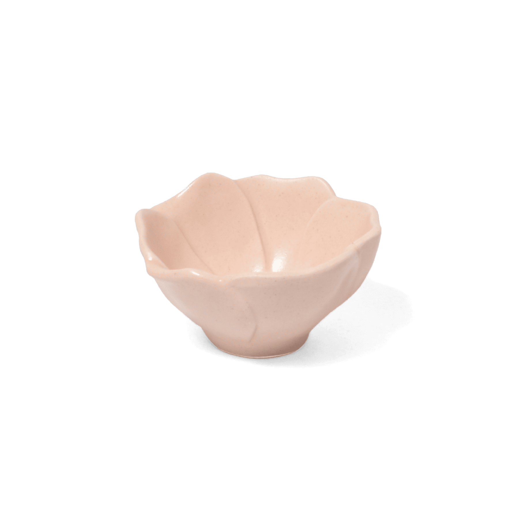 山茶花 2.5寸小付 山茶花 2.5寸小付
