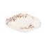 ブラウン