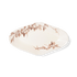 ブラウン