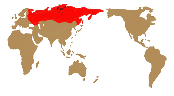 ロシア 世界の朝ごはん ロシア 世界の朝ごはん
